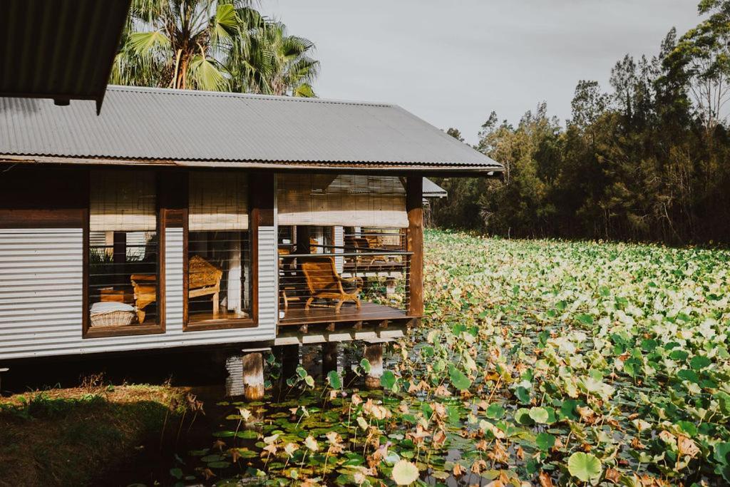 The Boathouses At Leaves & Fishes ラブデール エクステリア 写真
