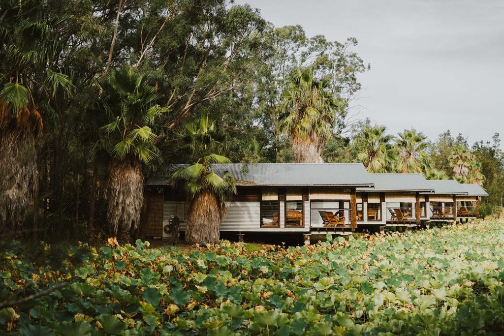 The Boathouses At Leaves & Fishes ラブデール エクステリア 写真