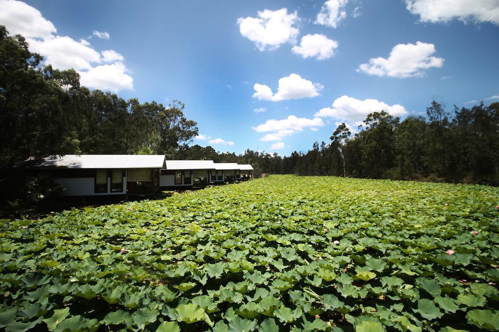 The Boathouses At Leaves & Fishes ラブデール エクステリア 写真